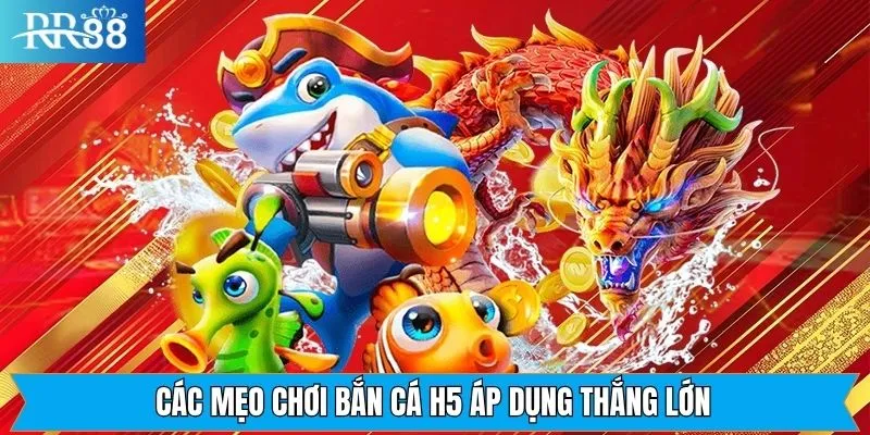 Cách tối đa hiệu quả các mẹo chơi bắn cá H5 Cách tối đa hiệu quả các mẹo chơi bắn cá H5