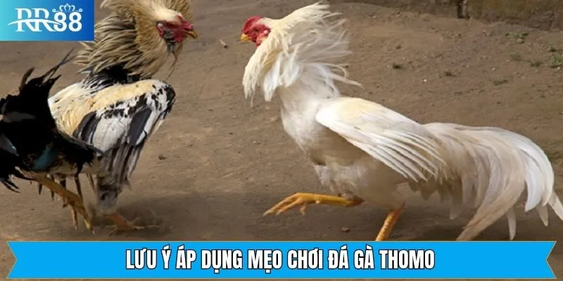 Một vài điều nên chú ý khi áp dụng các chiến lược chọi kê Một vài điều nên chú ý khi áp dụng các chiến lược chọi kê